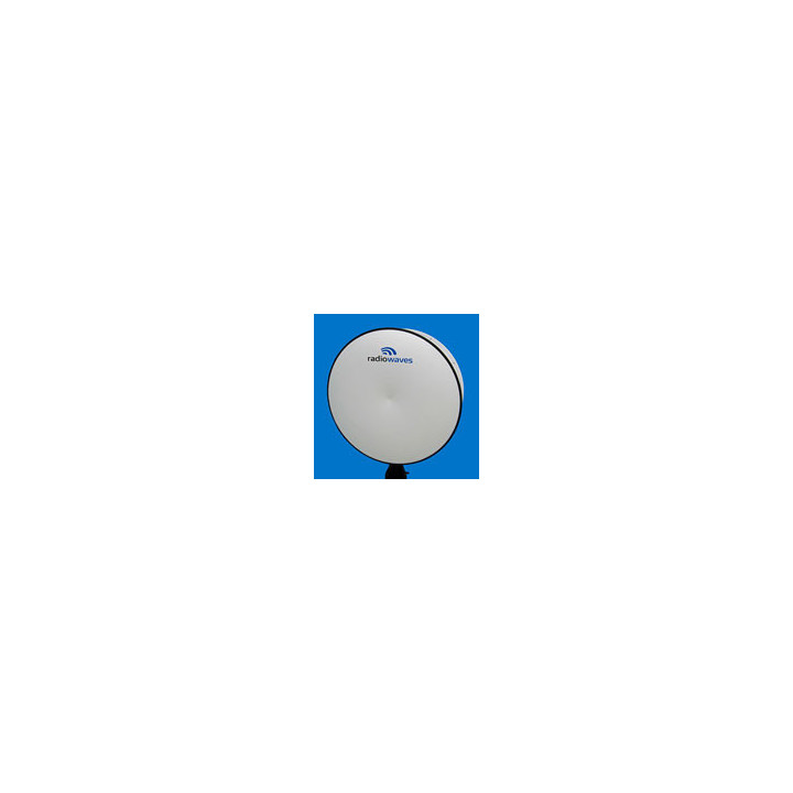 PTP820 4' Single Polarization Dish Antenna